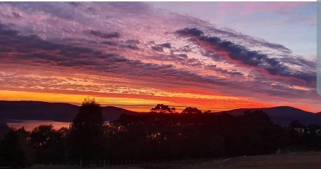 Ruby'S Cottage Farm Stay Port Arthur Luaran gambar