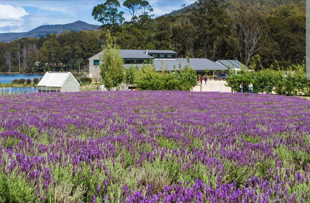 Ruby'S Cottage Farm Stay Port Arthur Luaran gambar