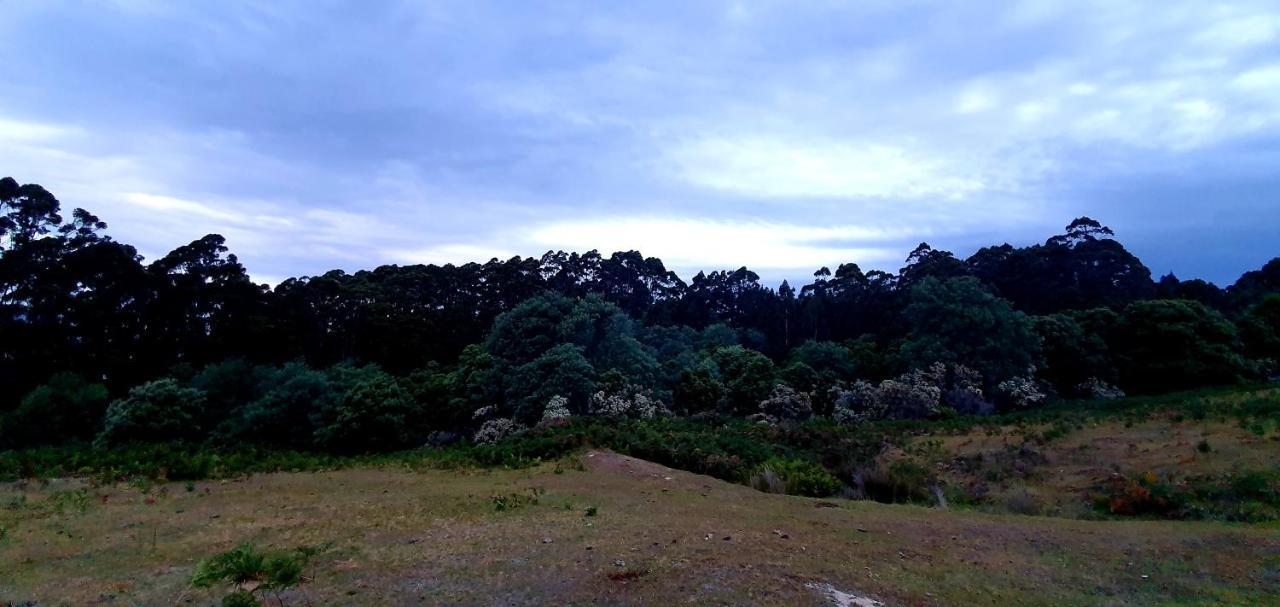 Ruby'S Cottage Farm Stay Port Arthur Luaran gambar