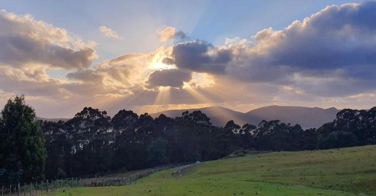 Ruby'S Cottage Farm Stay Port Arthur Luaran gambar