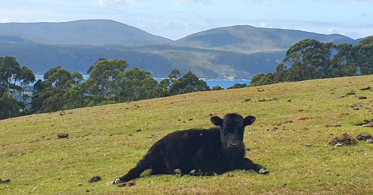 Ruby'S Cottage Farm Stay Port Arthur Luaran gambar