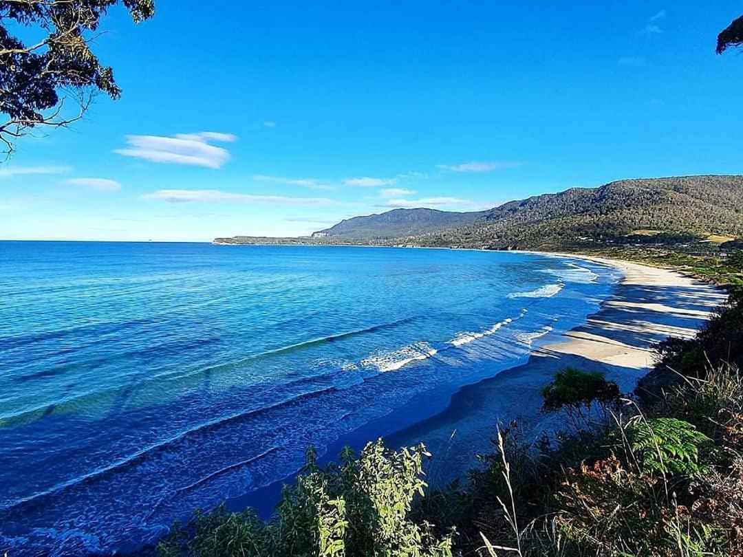 Ruby'S Cottage Farm Stay Port Arthur Luaran gambar