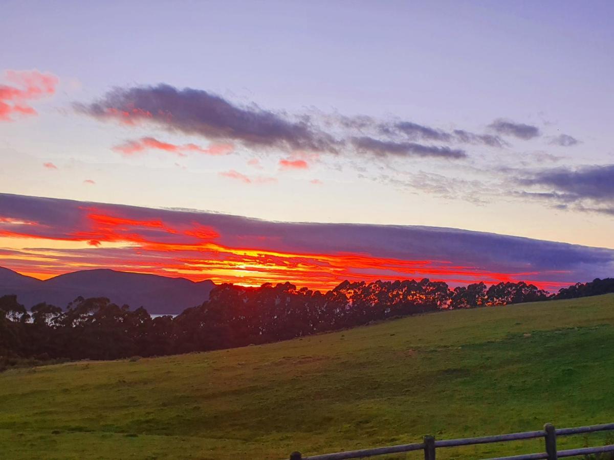 Ruby'S Cottage Farm Stay Port Arthur Luaran gambar