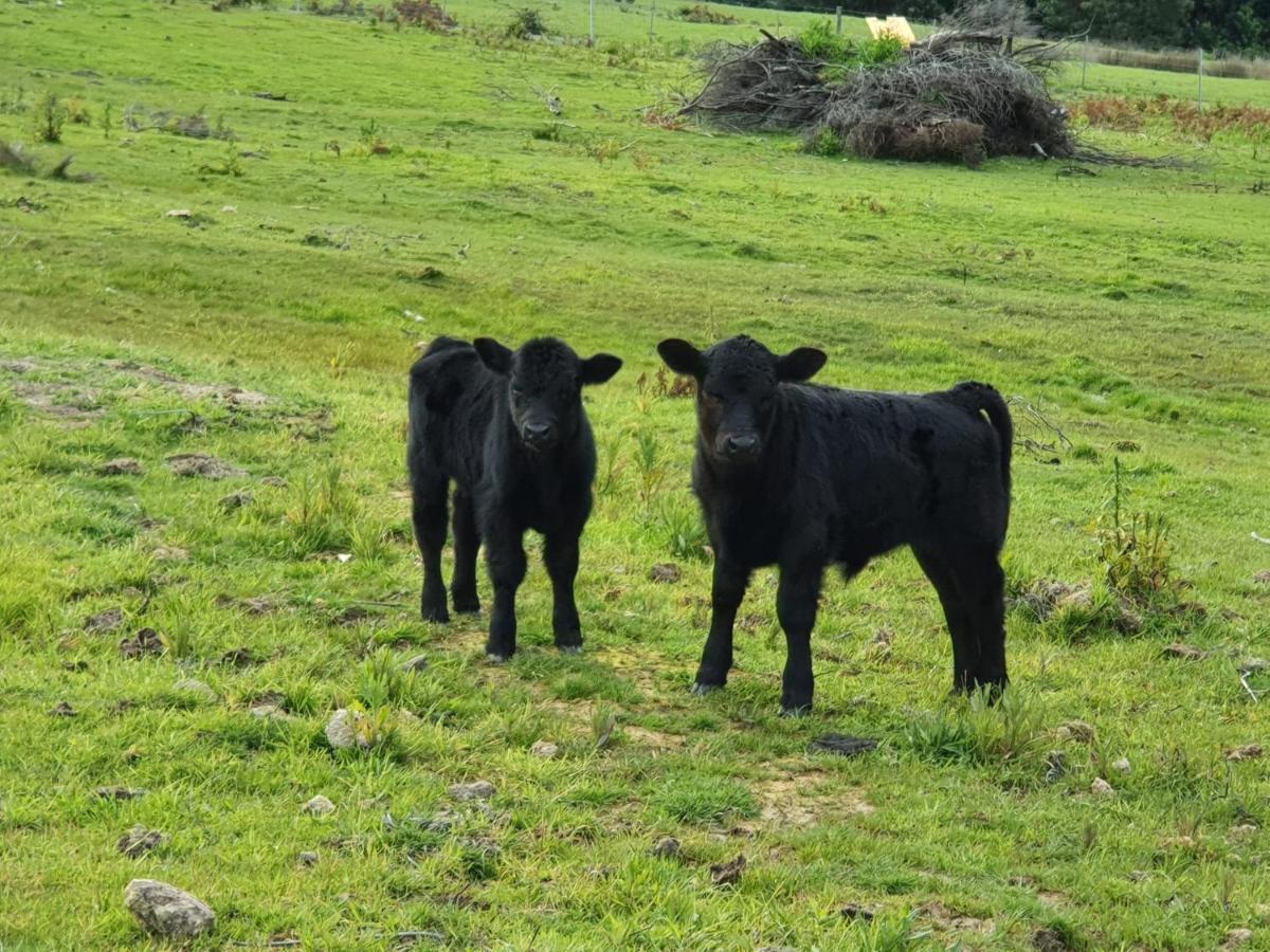 Ruby'S Cottage Farm Stay Port Arthur Luaran gambar