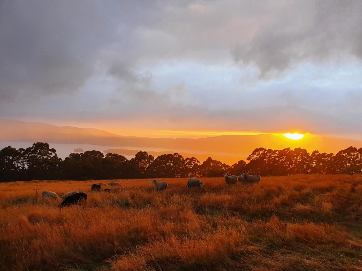 Ruby'S Cottage Farm Stay Port Arthur Luaran gambar