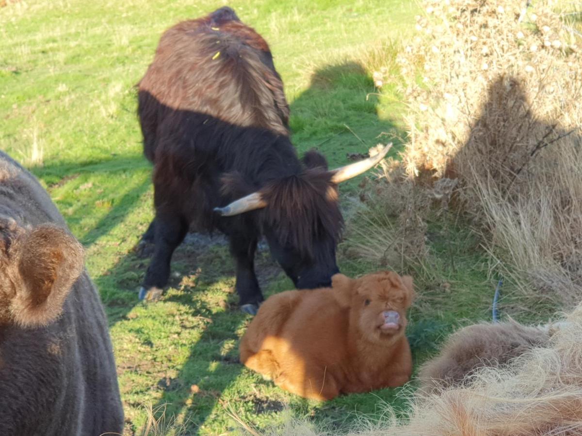 Ruby'S Cottage Farm Stay Port Arthur Luaran gambar