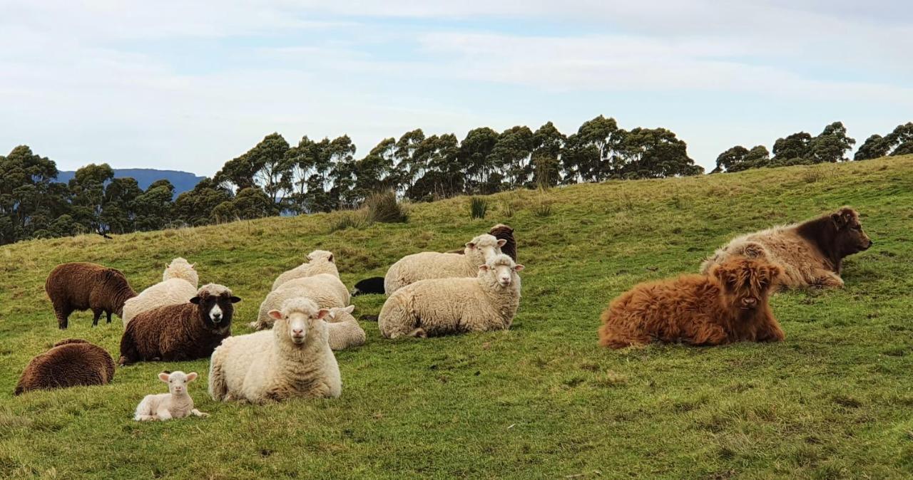 Ruby'S Cottage Farm Stay Port Arthur Luaran gambar