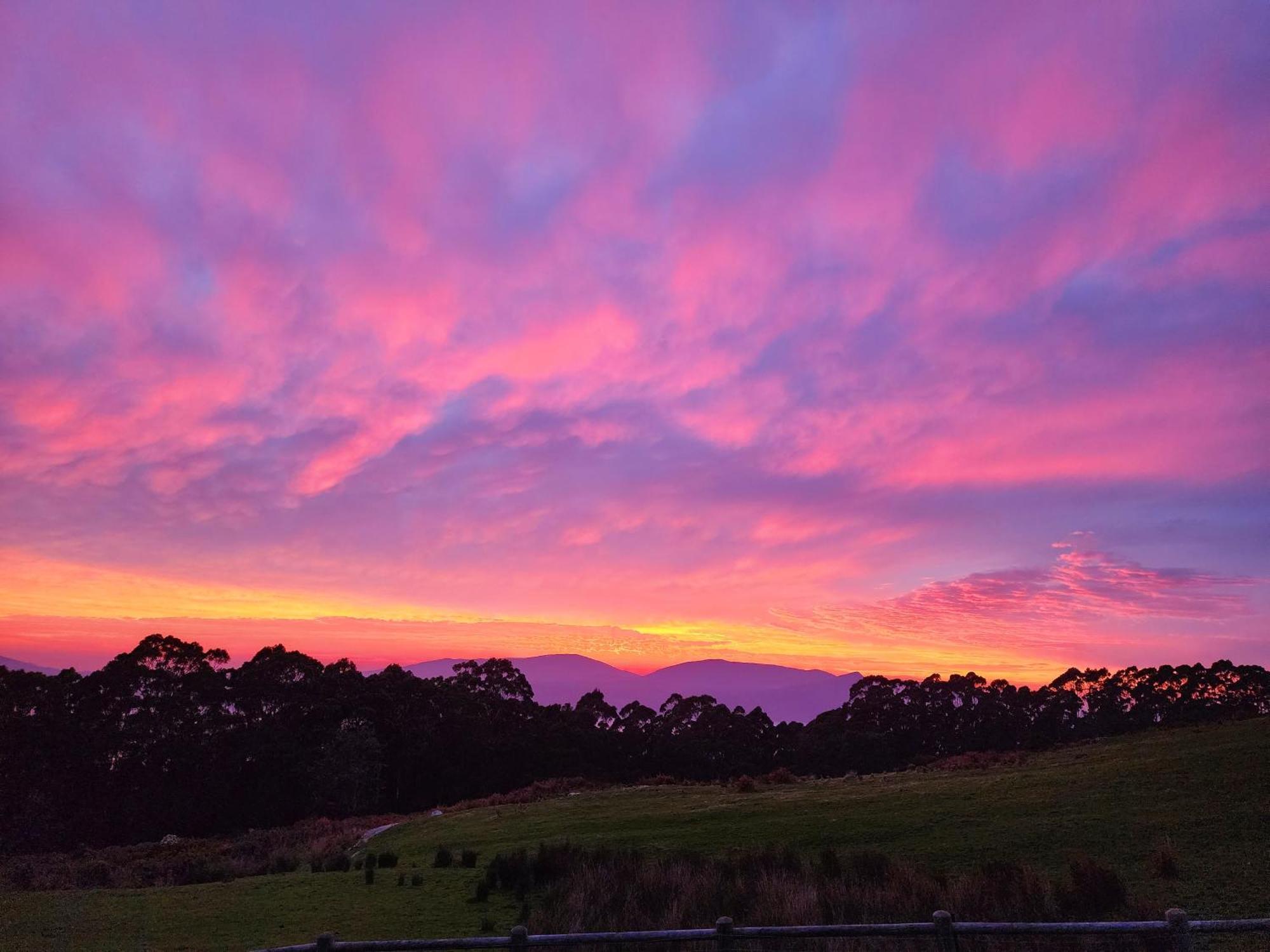 Ruby'S Cottage Farm Stay Port Arthur Luaran gambar