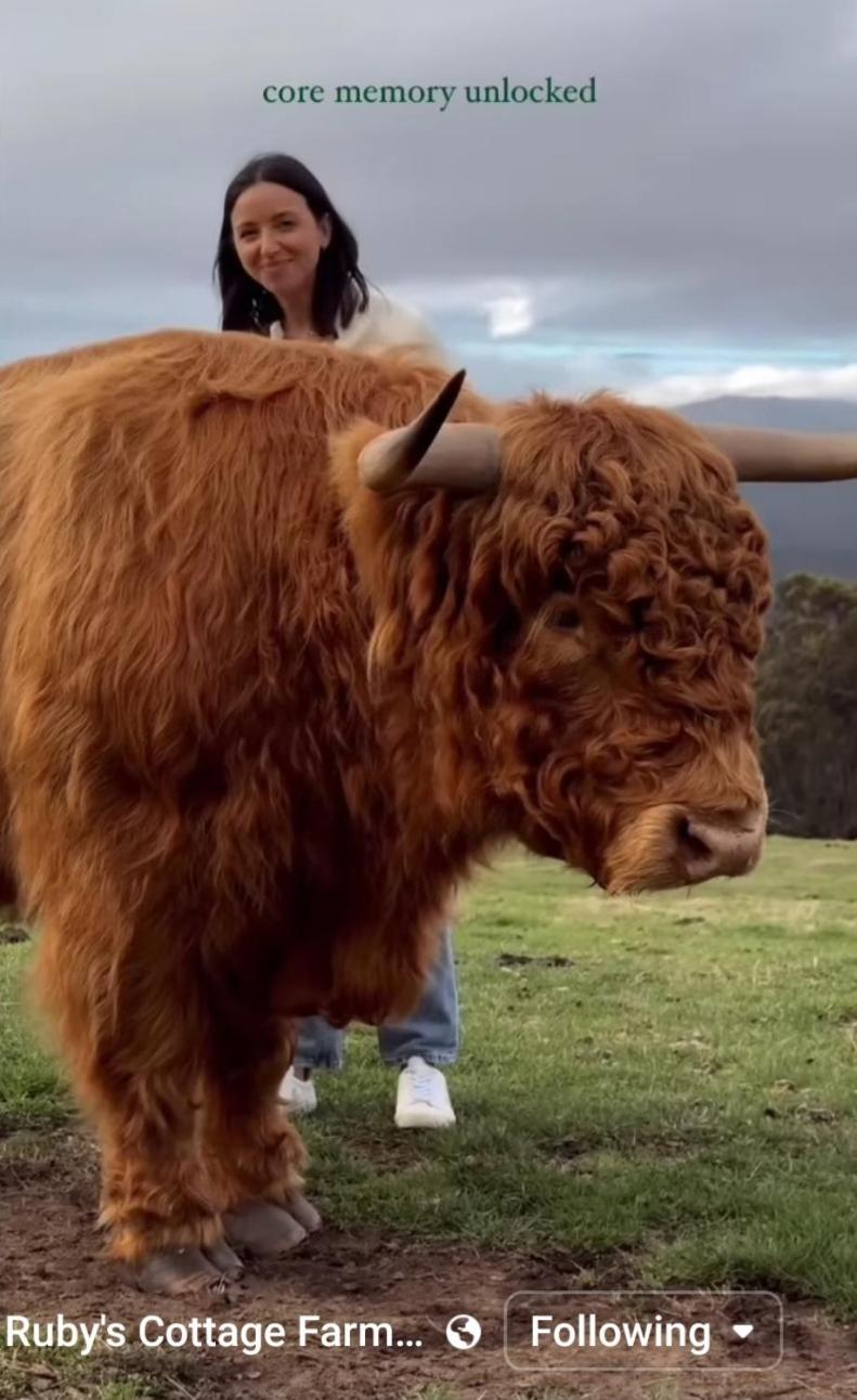Ruby'S Cottage Farm Stay Port Arthur Luaran gambar