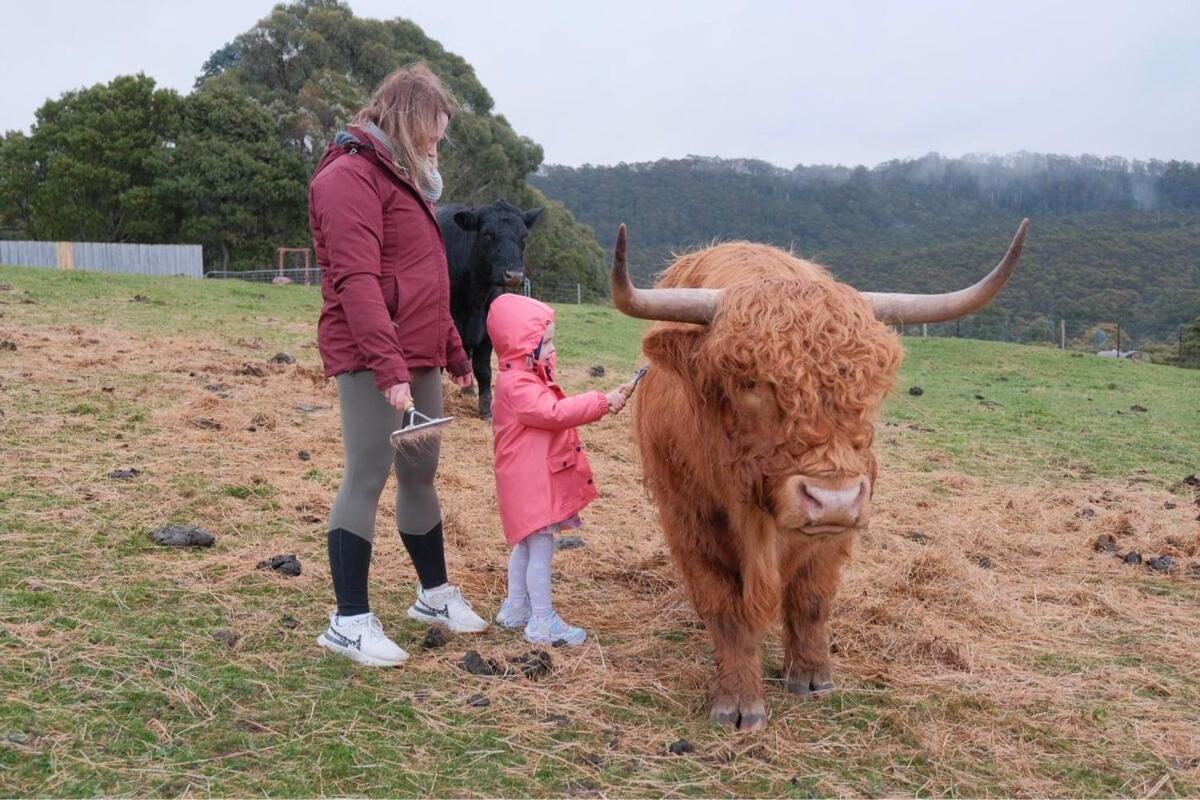 Ruby'S Cottage Farm Stay Port Arthur Luaran gambar